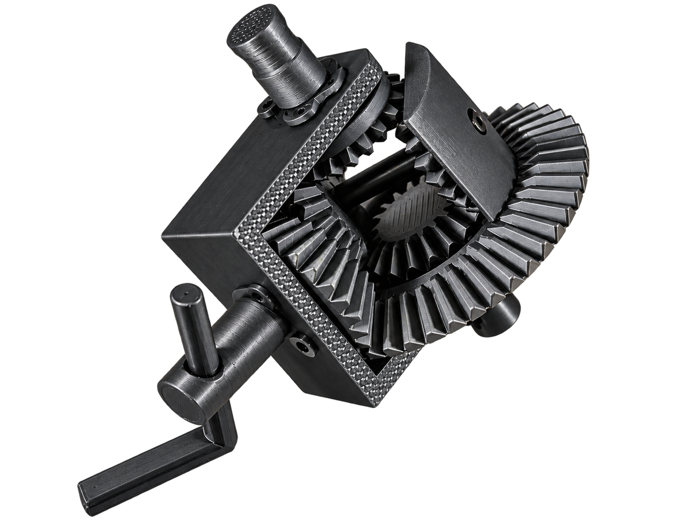 Functional Differential Model